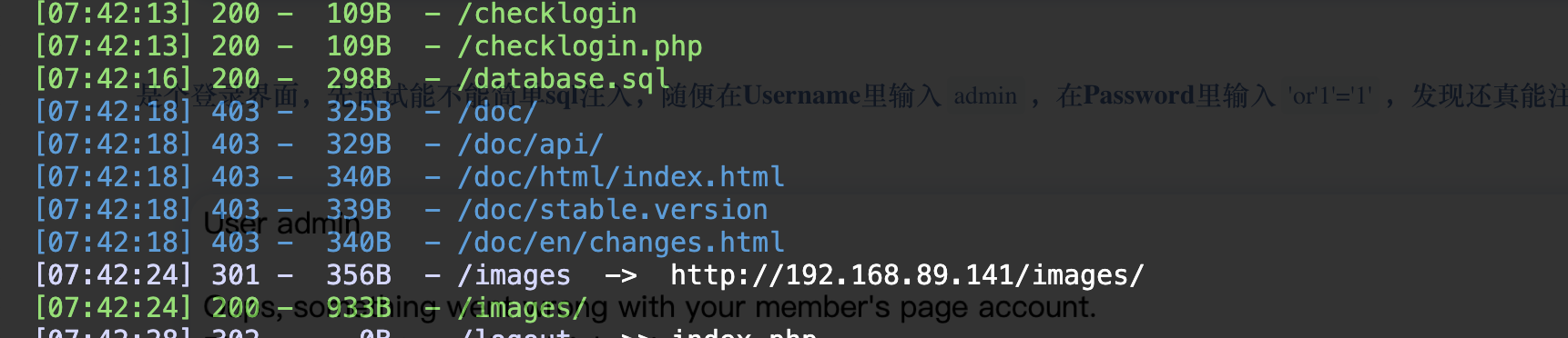 image-20240305204622062