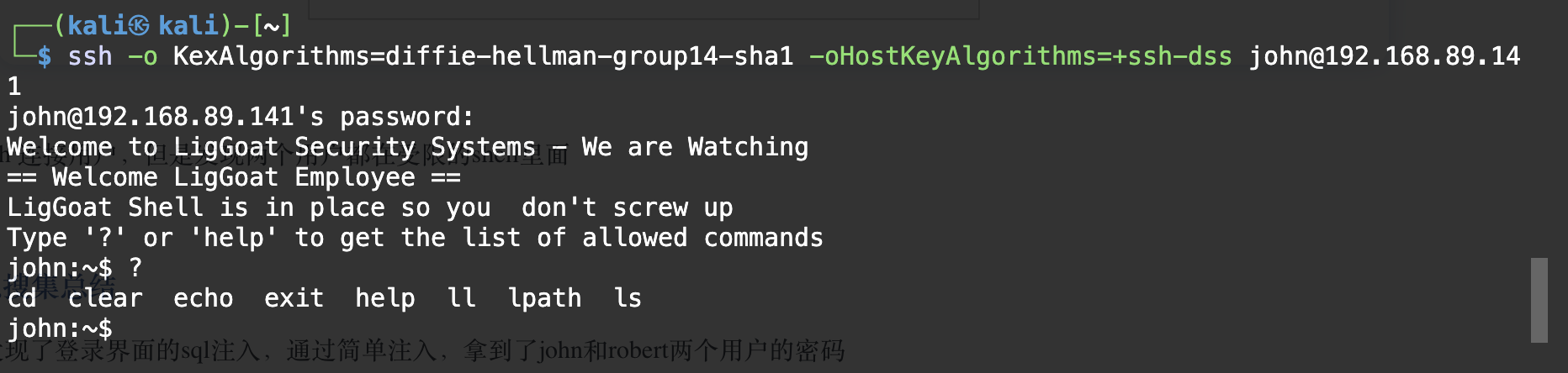 image-20240305210854321