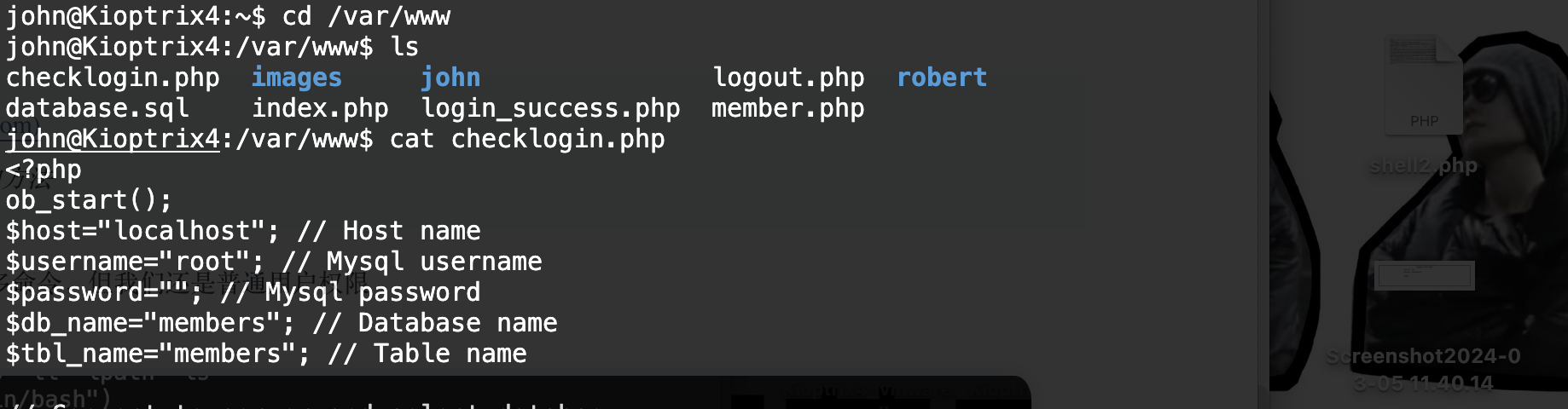 image-20240305212754868