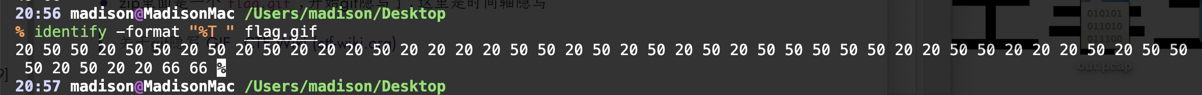 image-20240314205812516