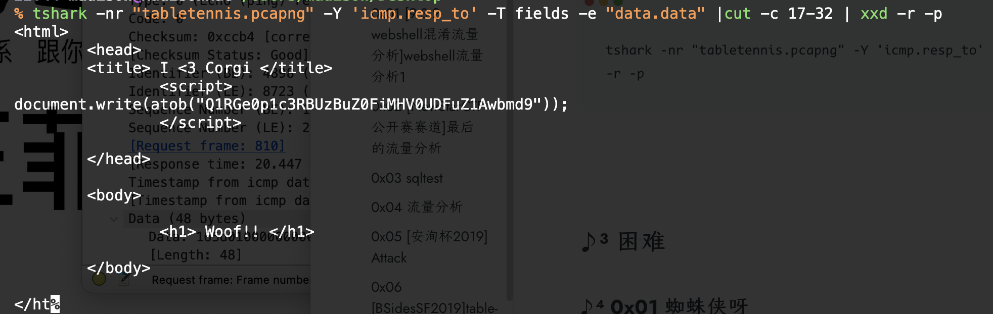 image-20240314225618844