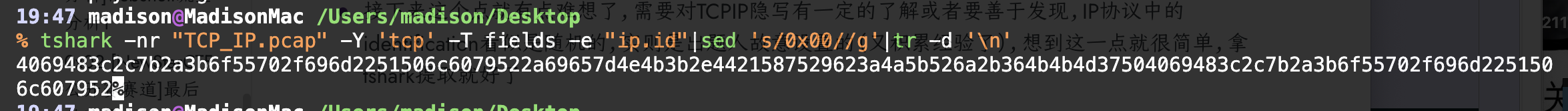 image-20240315202138650