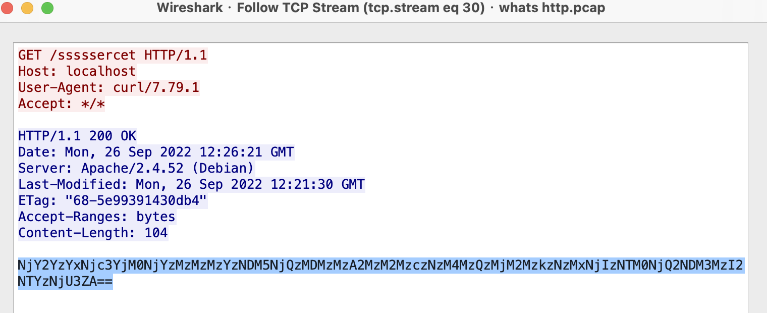 image-20240318150243796