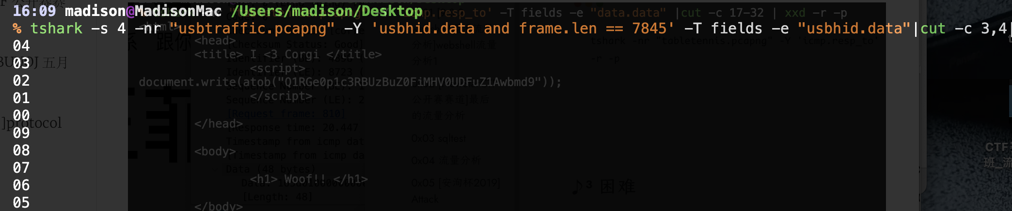 image-20240320161251397