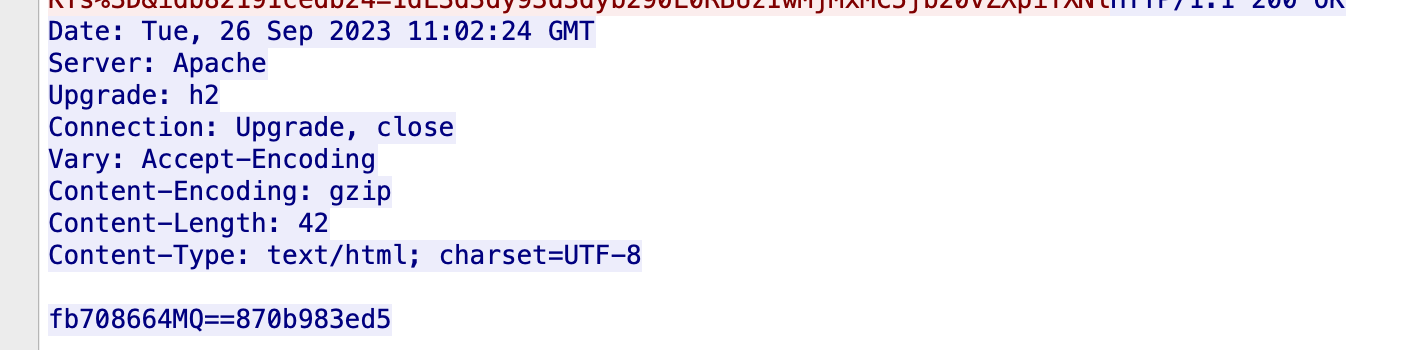 image-20240321155207237