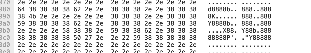 image-20240408003655630