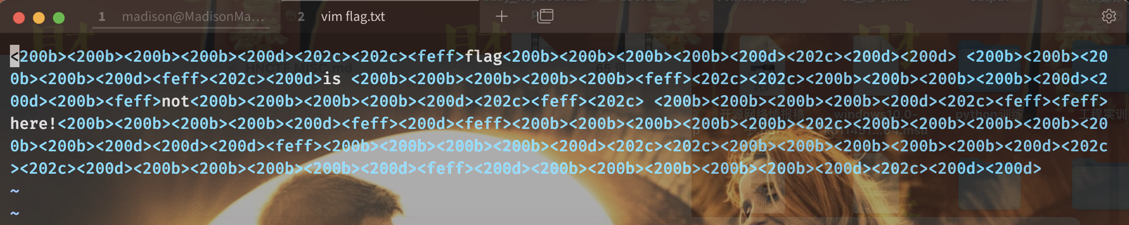 image-20240512233037118