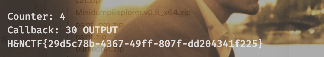 image-20240513191602611