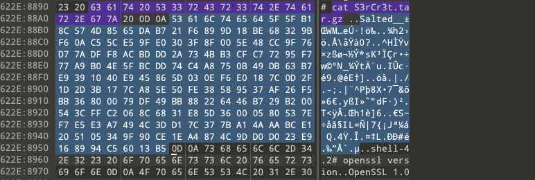 image-20240808173008998